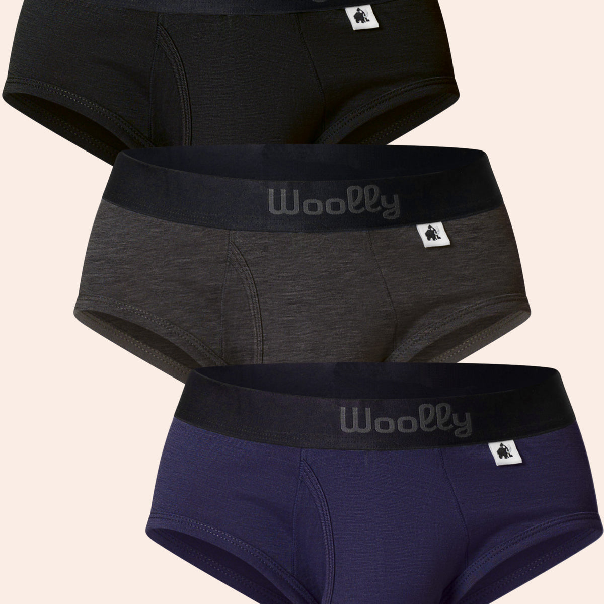 Brief In Store Everyday Brief 3 Pack – Woolly Clothing Co